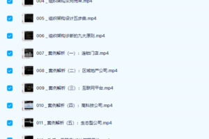张丽俊 组织设计之治理结构 视频下载